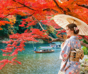 Kyoto and Nara Daytrip from Osaka