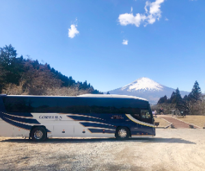 Tokyo Fuji Mountain and Lake Kawaguchi Day Trip