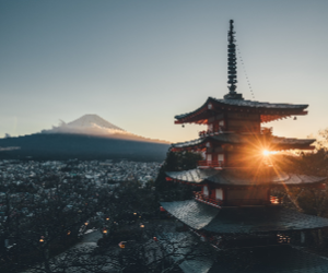 Mt. Fuji Day Tour: Flower Sightseeing & Outlet Shopping from Tokyo