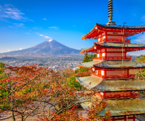 Mount Fuji Full Sightseeing Day Trip from Tokyo or Shinjuku