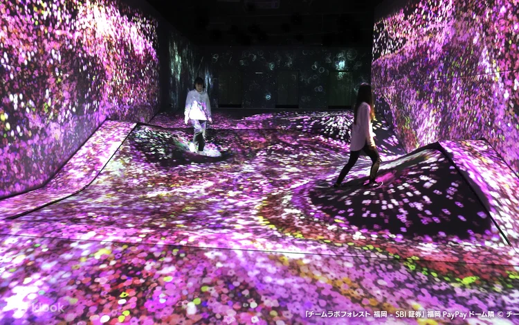teamLab Forest Fukuoka Ticket
