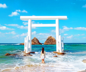 Itoshima Coast & Nature: Shiraito Falls, Meoto Rocks & Totoro Trail