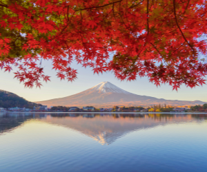 Full-Day Tour of Tokyo, Mount Fuji, and Lake Kawaguchi