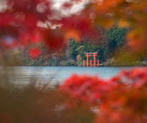 Mt Fuji & Hakone from Tokyo: 6 Spots Tour with Bullet Train