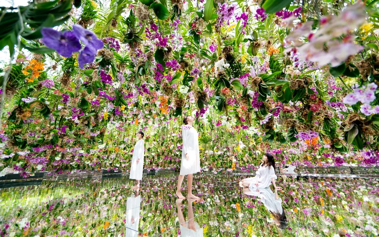 teamLab Planets