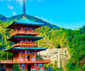 Michelin Kumano Kodo Pilgrimage & Nachi Falls Day Tour from Nagoya