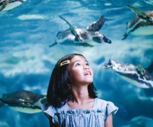 DMM Kariyushi Aquarium Ticket in Okinawa